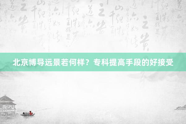 北京博导远景若何样？专科提高手段的好接受